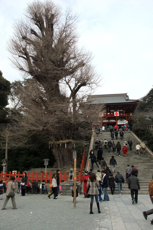 100111DSCF0010.jpg