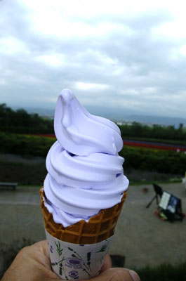 100722DSCF0329.jpg