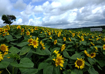 100723DSCF0345.jpg