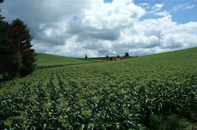 100723DSCF0351.jpg