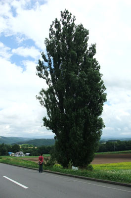 100723DSCF0353.jpg